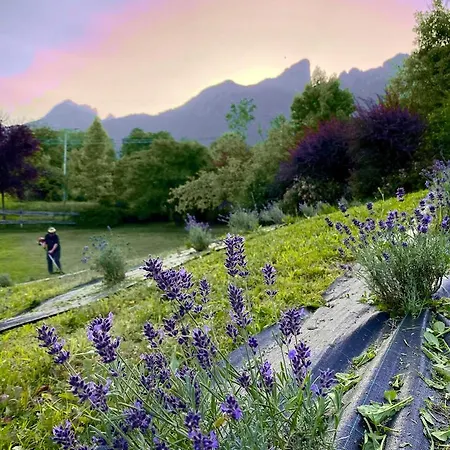 Casa Del Piol Fattoria Dei Fiori Lejlighed *